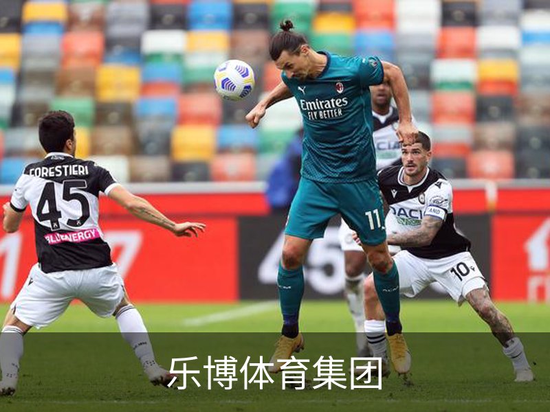 乐博体育集团简介